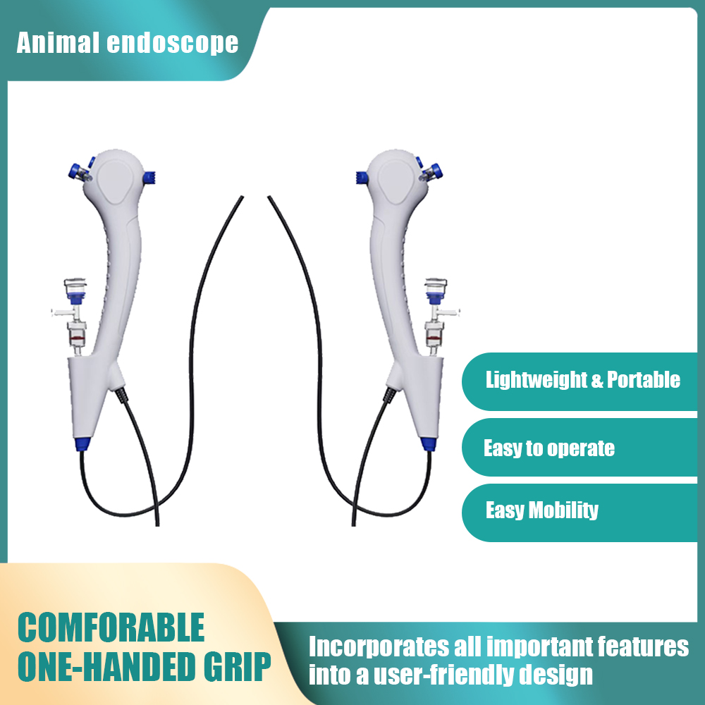 Vet Tech Accessories - Flexible Endoscopy, 1.95mm/2.5mm/3mm/4.3mm/5mm/5.5mm Endoscopes
