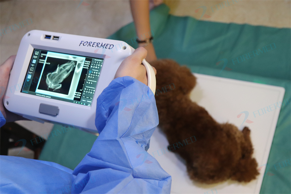 Mini Veterinary X Ray Machine  - Vet Tech Accessories recension och pris