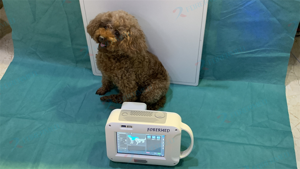 Mini Veterinary X Ray Machine  - Vet Tech Accessories recension och pris